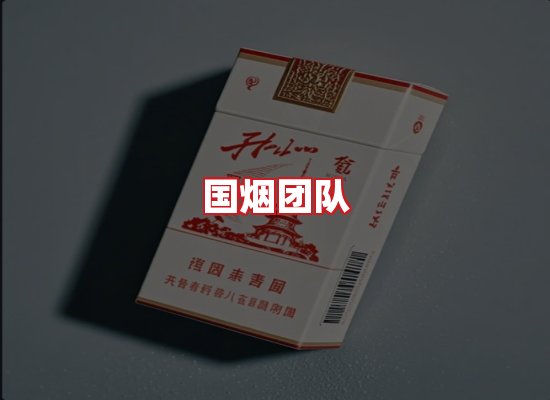 国烟团队